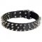 Leather Dog Collar with 3 Rows of Nickel Spikes