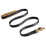 No Rubbing Nylon Dog Leash with Support Leather Material on the Handle