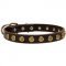 Leather Dog Collar with Brass Dotted Circles for Fashion Walking