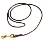 Fully Beneficial Show Leather Dog Leash - Comfort for You and Your Dog