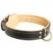 Padded Leather Dog Collar
