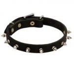Dog Leather Collar Spiked 3/4 Inch