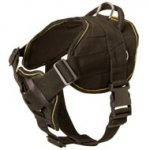 Nylon Dog Harness for Pulling Tracking Training