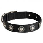 Dog Nylon Dog Collar with Circles Decoration