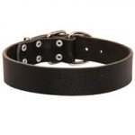 Wide Leather Dog Collar for Training and Walking