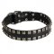 New Leather Dog Collar - Fashion Exclusive Design - "Caterpillar"