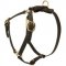 Y-Shaped Leather Dog Harness for Tracking and Training