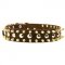 Spiked and Studded Dog Leather Collar