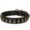 Dog Leather Collar with Shiny Plates