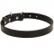 Dog Leather Dog Collar 1 inch Wide