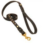 Studded Leather Dog Leash for Dog Walking and Training