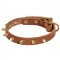 Walking Designer Leather Dog Collar with Brass Spikes