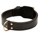 Training 2 Ply Leather Dog Collar
