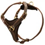 Tracking Leather Dog Harness With Y-Chest Plate