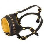 Open Nose Studded Leather Dog Muzzle With Nappa Padding