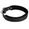 Padded Leather Dog Collar 25 mm for Dog Training