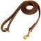 Stitched Leather Dog Leash for Training and Walking