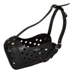Easy Adjustable Leather Dog Muzzle for Agitation Training