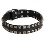New Leather Dog Collar - Fashion Exclusive Design - "Caterpillar"
