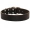 Wide Leather Dog Collar for Training and Walking
