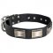 Leather Dog Collar Massive Nickel Plates