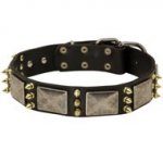 Dog Spiked Leather Collar with Nickel Plates