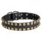 2 Rows Brass Studded Leather Dog Collar for Walking and Training