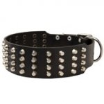 Extra Wide 4 Rows Studded Leather Dog Collar