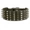 Dog Leather Collar Spiked and Studded