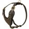 Adjustable Studded Leather Dog Harness for Fashion Walking