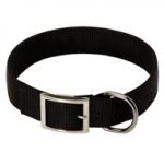 2 Ply Nylon Dog Collar