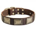 Leather Dog Collar with Massive Brass Plates