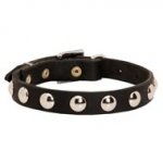 Beautiful Leather Dog Collar Decorated with Half-Ball Studs