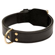 Training 2 Ply Leather Dog Collar