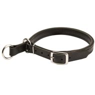 Dog Leather Choke Collar