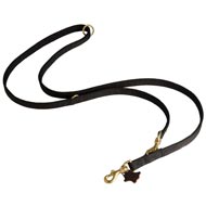 Nylon Dog Leash for Patrolling, Walking and Training
