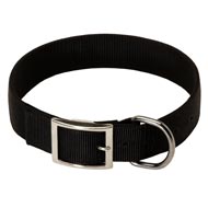 2 Ply Nylon Dog Collar