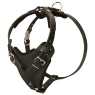 Protection Leather Dog Harness for Attack / Agitation Dog Training