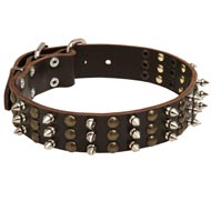 Dog Spikes and Studs Rows Leather Dog Collar