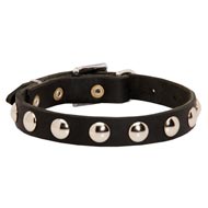 Beautiful Leather Dog Collar Decorated with Half-Ball Studs