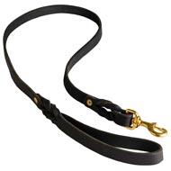 Walking Training Leather Dog Leash Braided