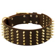 Wide Spiked Leather Dog Collar