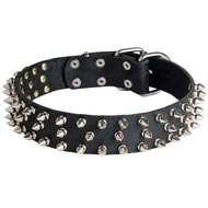 Leather Dog Collar with 3 Rows of Nickel Spikes