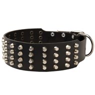 Extra Wide 4 Rows Studded Leather Dog Collar