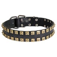 2 Rows Brass Studded Leather Dog Collar for Walking and Training
