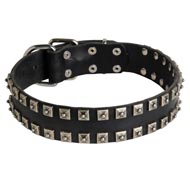 New Leather Dog Collar - Fashion Exclusive Design - "Caterpillar"