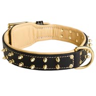 Royal Leather Dog Collar Spiked Padded with Nappa Leather