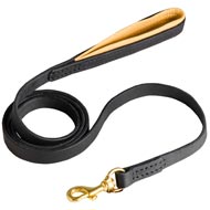 Padded on Handle Leather Dog Leash for Walking and Training