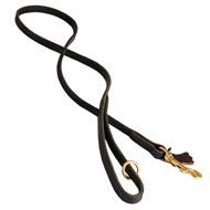 Handcrafted Leather Dog Leash for Walking and Tracking