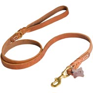 Walking and Training Leather Dog Leash with Comfy Handle